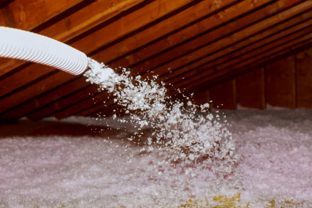 Best Insulation Contractor Near Me  in Mayville, WI